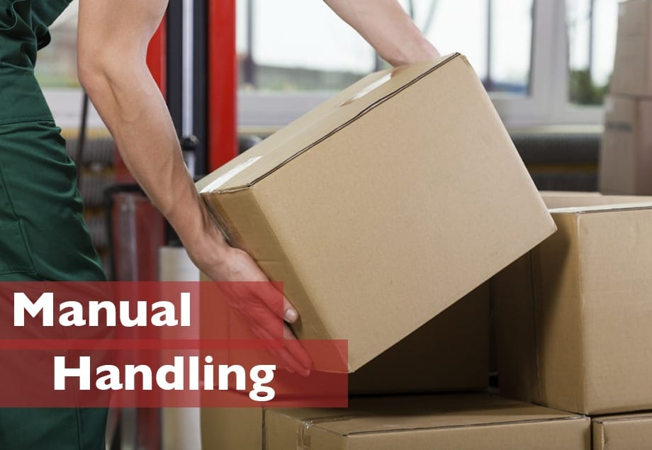 Skill Ireland Training Courses for Students, Portugues and Spanish